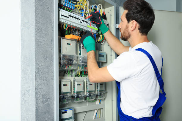 Best Electric Panel Repair  in Georgetown, GA